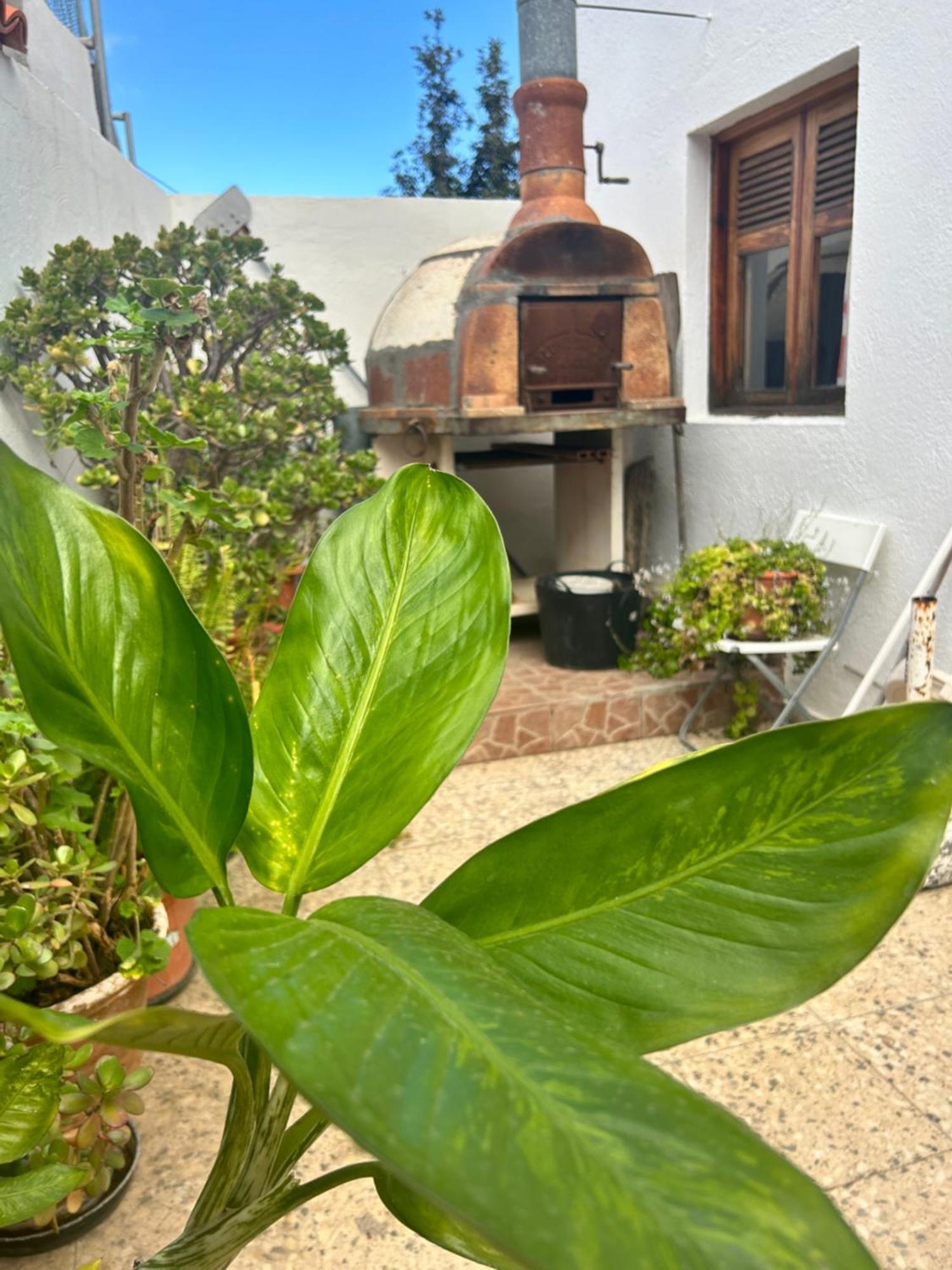 Casa Rural Teresita Entera Tranquila Llena De Bienestar Güimar Exteriör bild